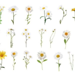 40 Sticker Scrapbook Diseños Flores Blancas