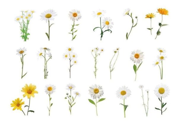 40 Sticker Scrapbook Diseños Flores Blancas