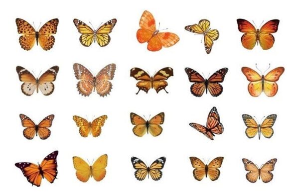 40 Sticker Scrapbook Diseños Mariposas Cafés