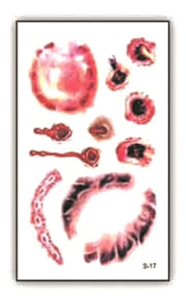 Tatuaje Temporal Halloween Cosplay Disfraz - Herida - 3e