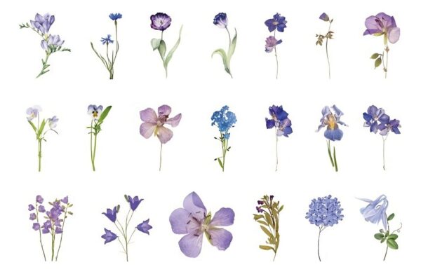 40 Sticker Scrapbook Diseños Flores Lila