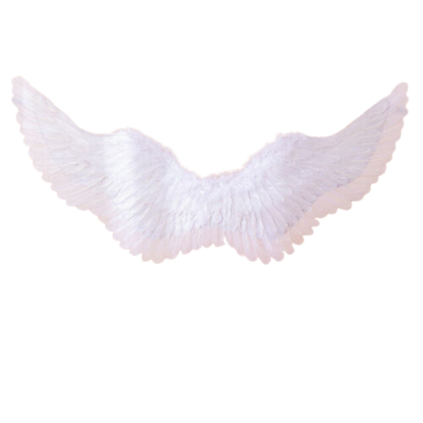 Alas De Angel + Halo Aureola - Blancas - Medianas
