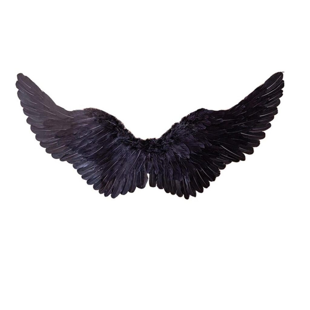 Alas de Angel de Plumas - Negras - Medianas