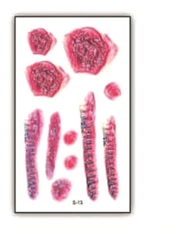 Tatuaje Temporal Halloween Cosplay Disfraz - Herida - 3a