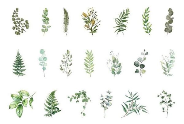 40 Sticker Scrapbook Diseños Hojas Verdes