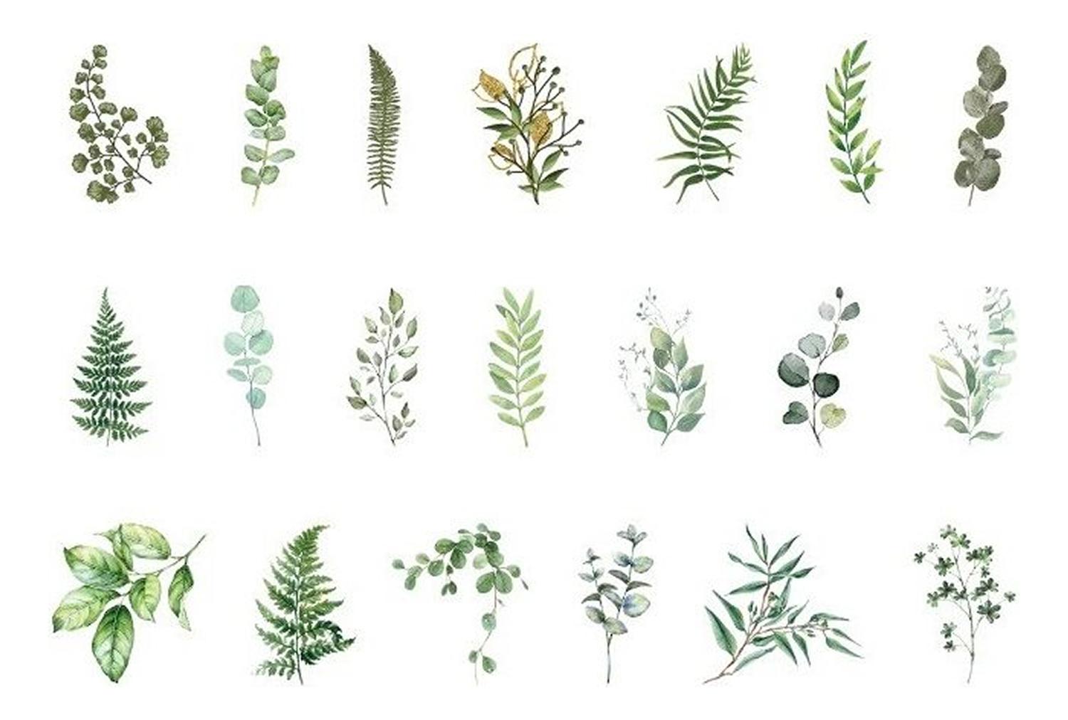 40 Sticker Scrapbook Diseños Hojas Verdes
