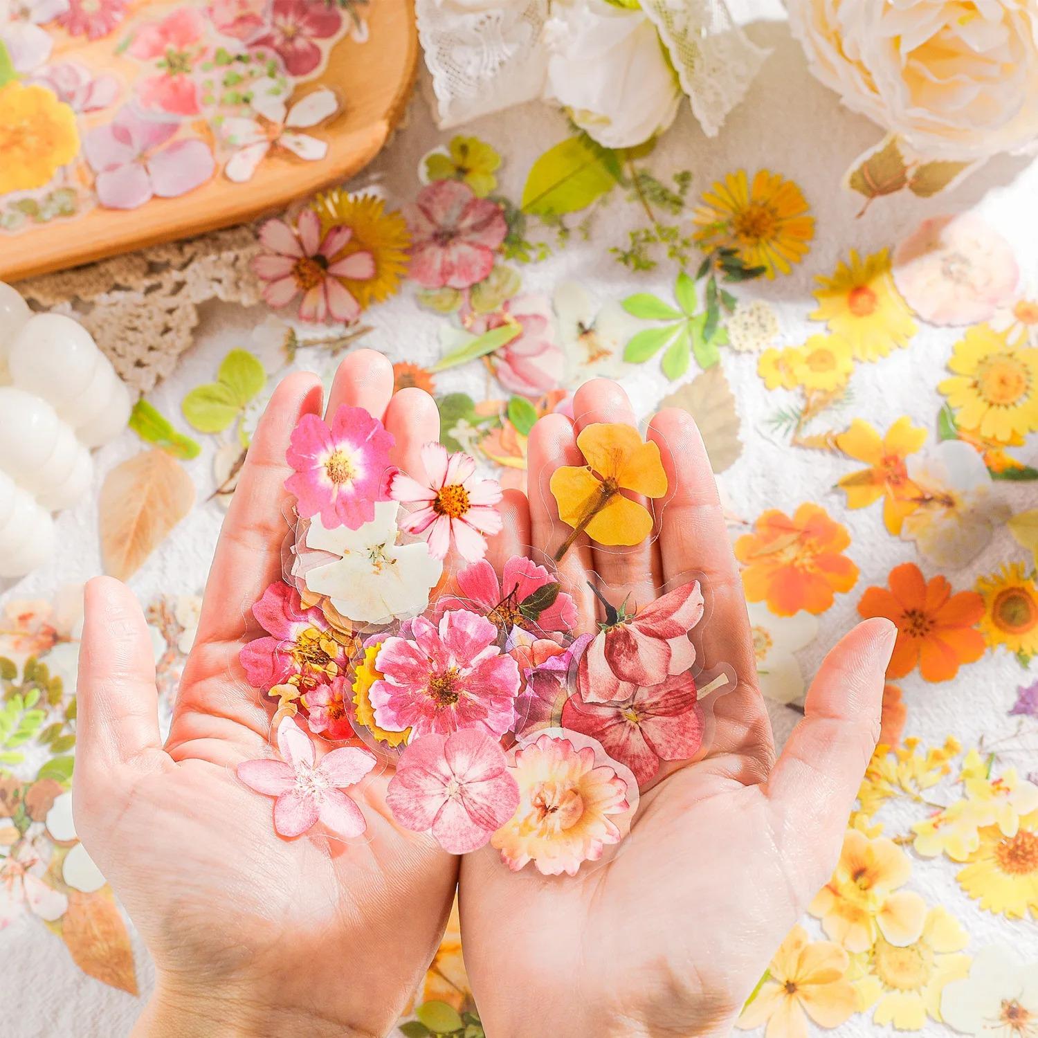 40 Sticker Scrapbook Diseños - Hojas - de Otoño - Imagen 3